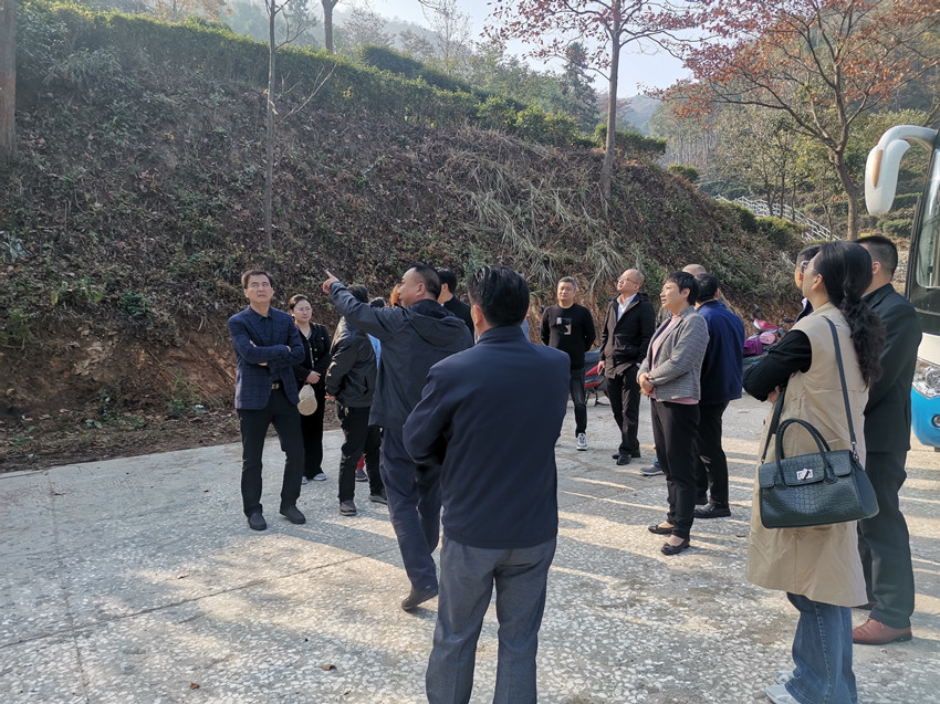 民建安庆市委会赴杨亭村开展乡村振兴调研