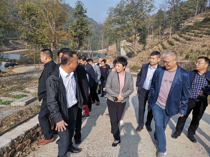 民建安庆市委会赴杨亭村开展乡村振兴调研